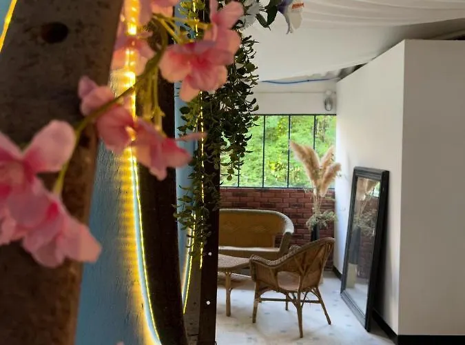 Les De Marc Hotel del amor *